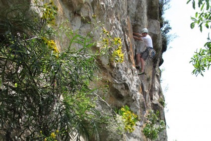 Waldemar Niclevicz escalando em São Luiz do Purunã, PR. Foto de Silvia Bonora.