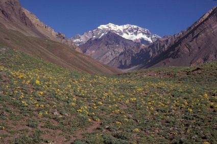 O Aconcágua, visto de Laguna Horcones, início da caminhada de aproximação rumo a Plaza de Mulas. Foto de WN.