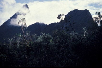 O Pico da Neblina, à esquerda, visto da Bacia de Gelo. Foto de Waldemar Niclevicz.