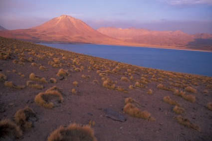 Laguna Miscanti, próxima a San Pedro de Atacama, Chile. Foto de Waldemar Niclevicz.