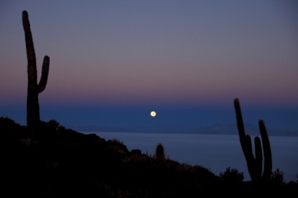 Salar de Uyuni, lua cheia entre cactus. Foto de Waldemar Niclevicz.