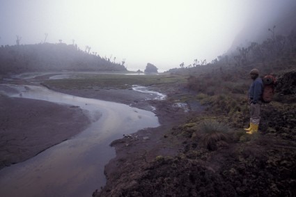 Caminho ao Refugio Bujuku, Ruwenzori. Foto Waldemar de Niclevicz.