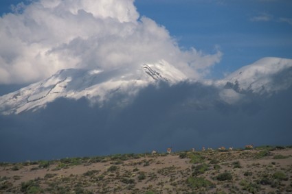 O Vulcão Coropuna entre as nuvens e vicunhas. Foto de Waldemar Niclevicz.