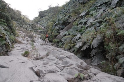 Parte inferior do Santiaguito, Guatemala. Foto de Waldemar Niclevicz.