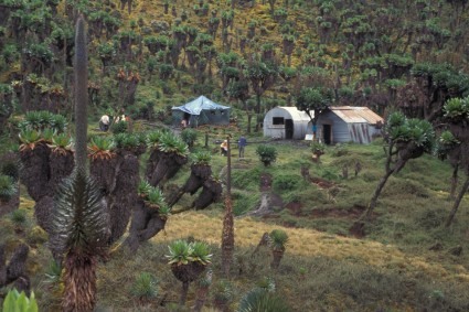 Refugio Bujuku (3.962m), Ruwenzori, Uganda. Foto de Waldemar Niclevicz.