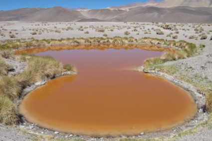 Um dos Ojos do Salar de Antofalla