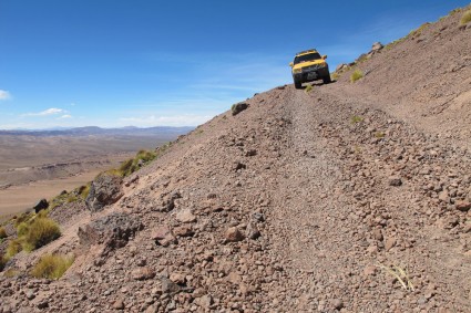 A Andina nas encostas do Vulcão Tuzgle (5.530m). Foto de Silvia Bonora.