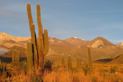 O Nevado de Cachi visto de Las Pailas. Foto de Waldemar Niclevicz