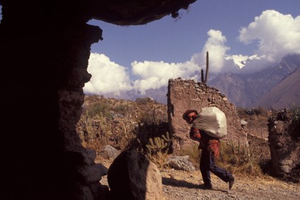 Carregador no Caminho Inca com o Nevado Verônica ao fundo.