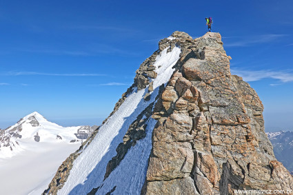 Chiquinho chegando ao cume do Gross Fiescherhorn (4.048m). Foto de Waldemar Niclevicz.