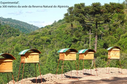 A produção de mel será a principal forma de geração de renda para a sustentabilidade da Reserva Natural do Alpinista – RNAWN.